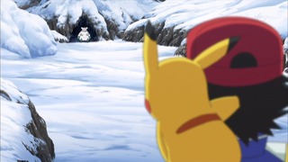 xy (67)