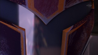 sw (14)
