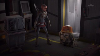 sw (57)