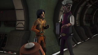 sw (44)