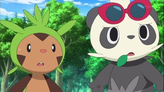 xy49 (135)