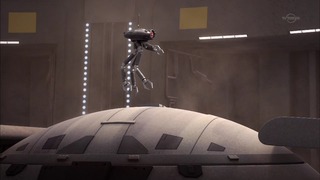 sw (31)