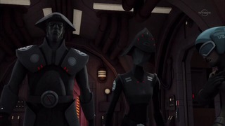 sw (6)