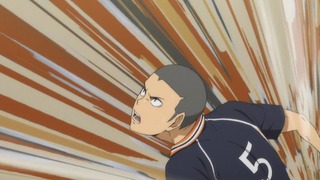 cap (313)