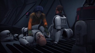 sw (31)