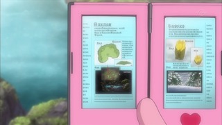 xy (123)