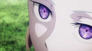 dp12 (8)