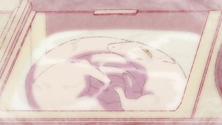 rin-47