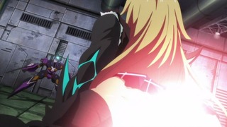 cap (219)