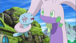 xy (51)