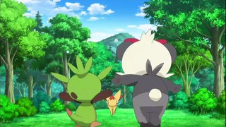 xy49 (123)