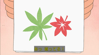 maruko-29