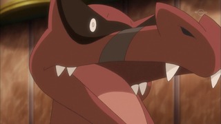 xy (147)