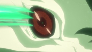 cap (233)