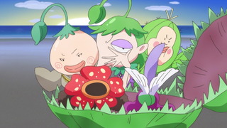 cap (5)
