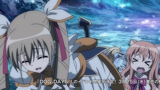 dog9_79