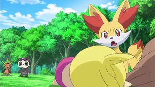 xy49 (132)