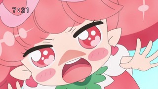 cap (244)