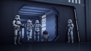 sw (24)
