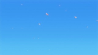 cap (146)