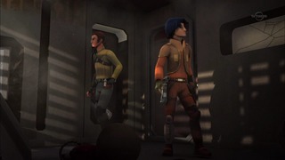 sw (40)