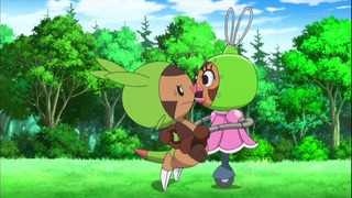 xy49 (53)