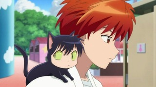 rin-129
