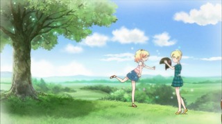 cap (23)