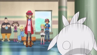 xy (106)