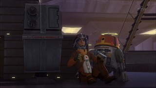 sw (16)