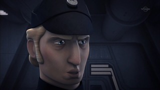 sw (12)