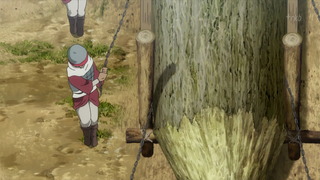 cap (17)