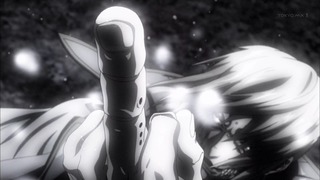 terra10 (7)