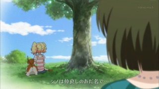 cap (19)