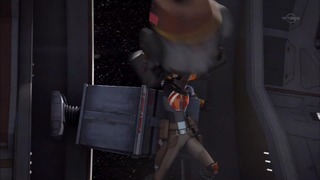 sw (28)