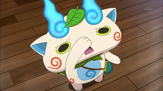 cap (29)