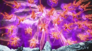 cap (146)