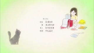 ne (46)