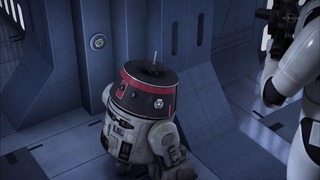 sw (25)