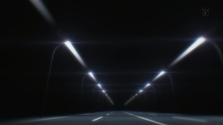 cap (113)