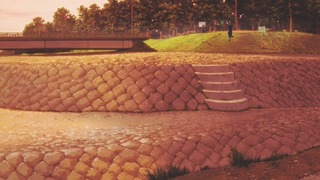 cap (256)