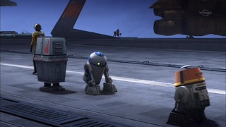 sw (67)