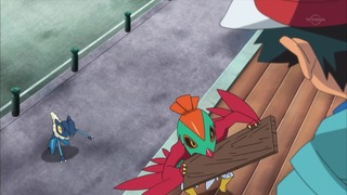 xy (62)