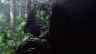 cap (213)