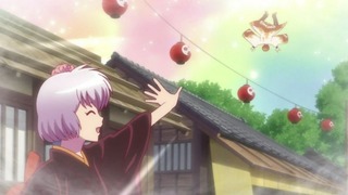 rin-81
