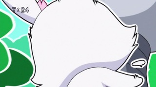 cap (246)