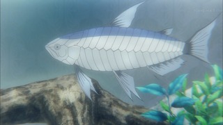 zimage00008-50