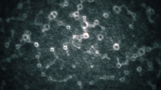 cha-75