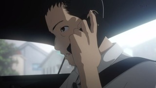 cap (15)