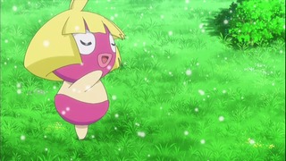 xy49 (33)